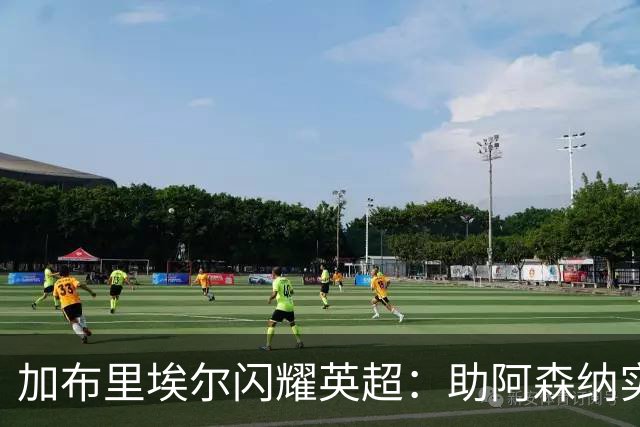 加布里埃尔闪耀英超：助阿森纳实现78场零封的中卫之王